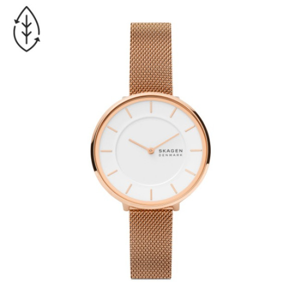 Skagen SKW3013