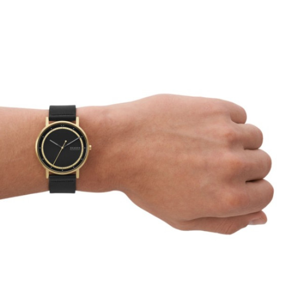 Skagen SKW6897