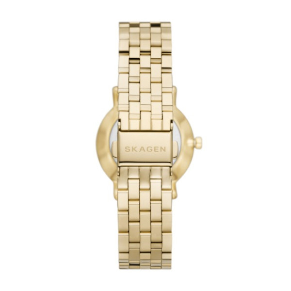 Skagen SKW3102