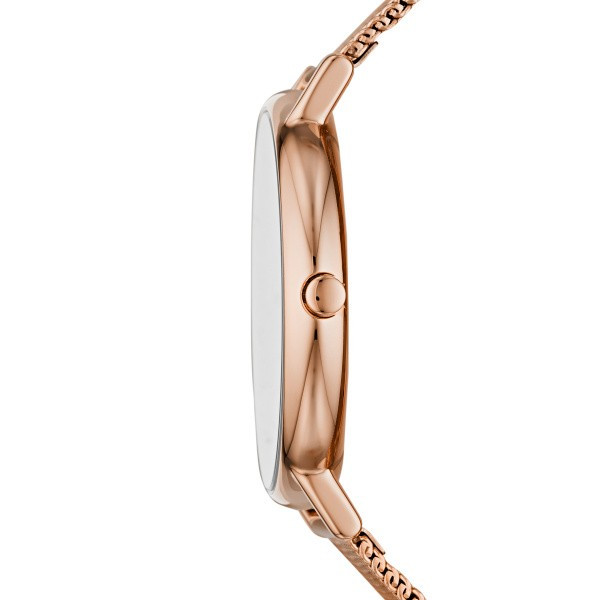 SKAGEN SIGNATUR 38MM LADIE'S WATCH SKW2784
