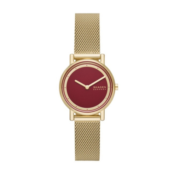 Skagen SKW3117