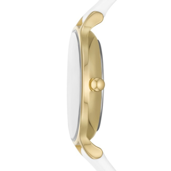 Skagen SKW3138