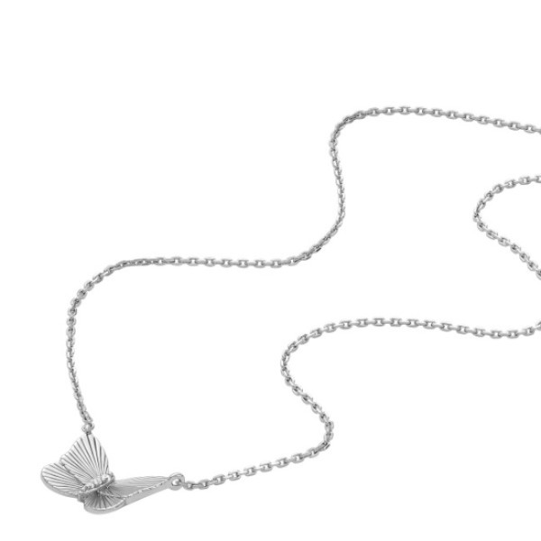 Fossil JFS00619040