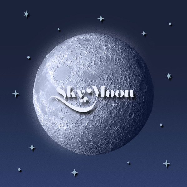 Aviator Douglas Moonflight V.1.33.0.255.5
