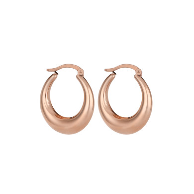 Дамски обеци Daniel Klein DKJ.3.5014-3