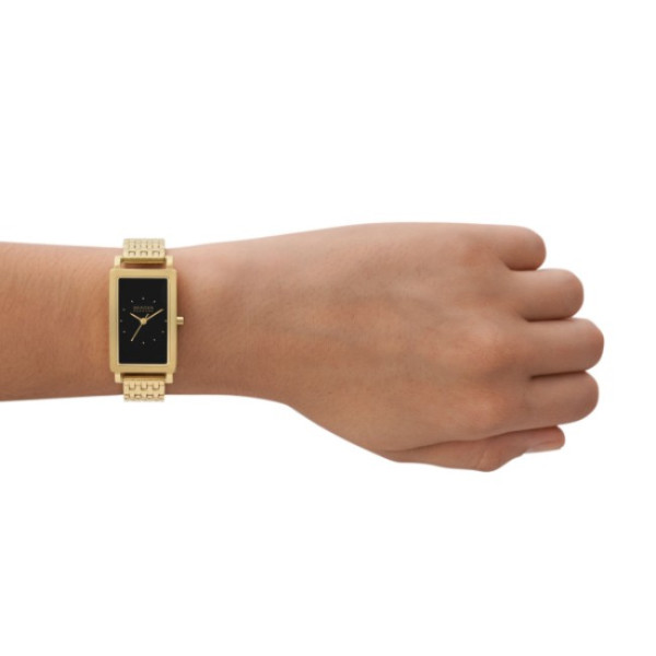 Skagen SKW3113