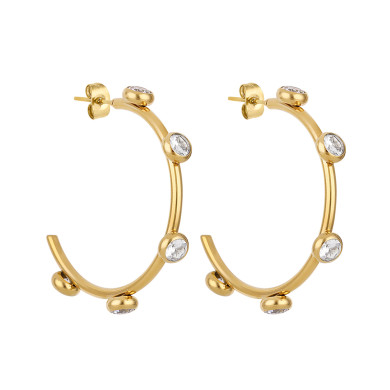 Дамски обеци Daniel Klein DKJ.3.30004-2