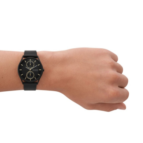Skagen SKW6911
