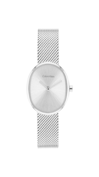 Calvin Klein 25100173 дамски часовник със сребрист циферблат