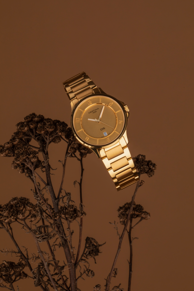 CЕRTINA DS-6 LADY 35MM C039.251.33.367.00