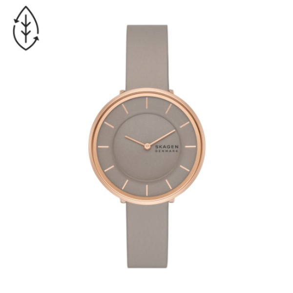 Skagen SKW3061