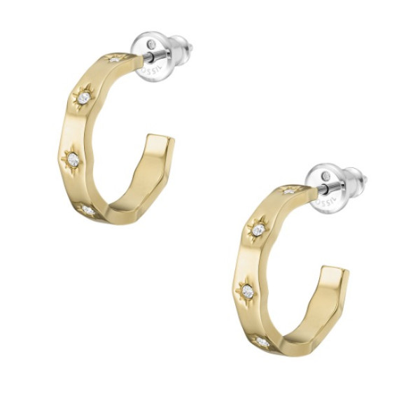 Fossil JF04380710