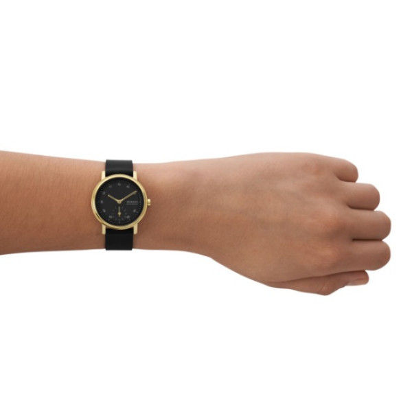 Skagen SKW3114