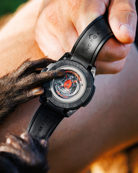 Луксозен часовник NORQAIN N3000.07Q17.B24 с COSC автоматичен механизъм – classicwatches.bg