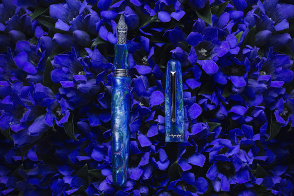 MONTEGRAPPA ELMO BLOOM, BLUE CROSS GERTAIN РОЛЕР ISEORRAD
