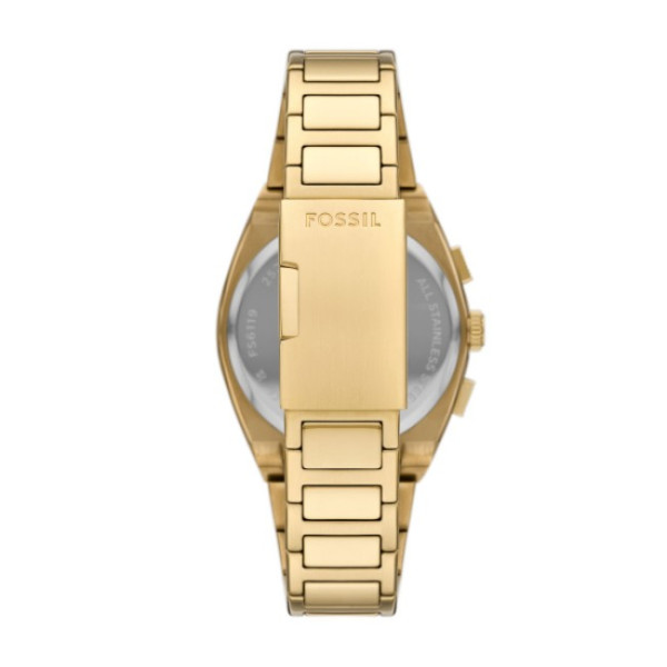 Fossil FS6119