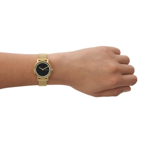 Skagen SKW3111