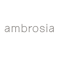 Comete Ambrosia златни обеци AOP075