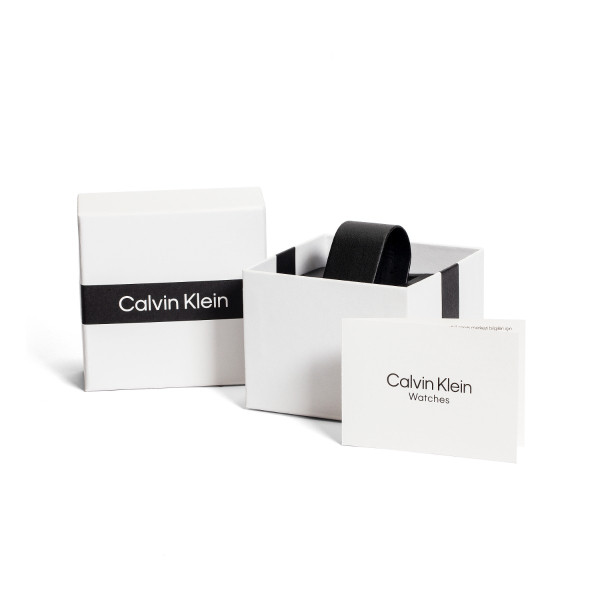 CALVIN KLEIN TIMELESS MULTIFUNCTION 38MM LADIES WATCH 25200105