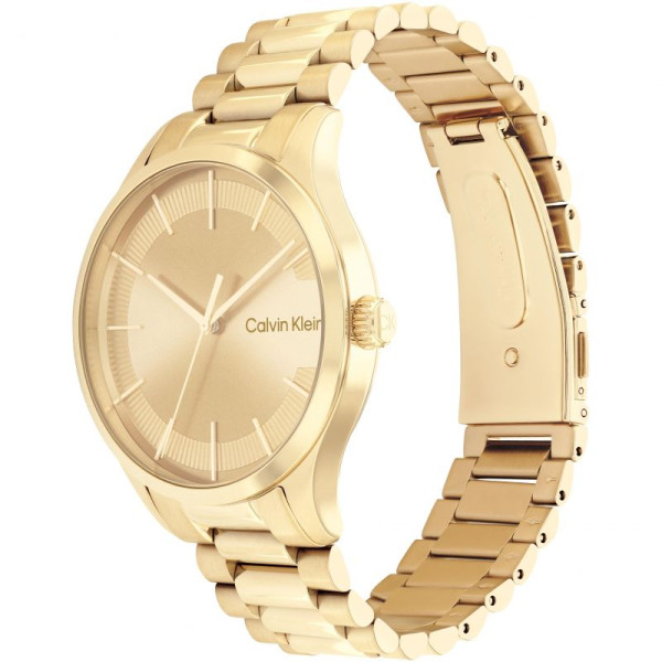 CALVIN KLEIN ICONIC 40MM LADIES WATCH 25200043