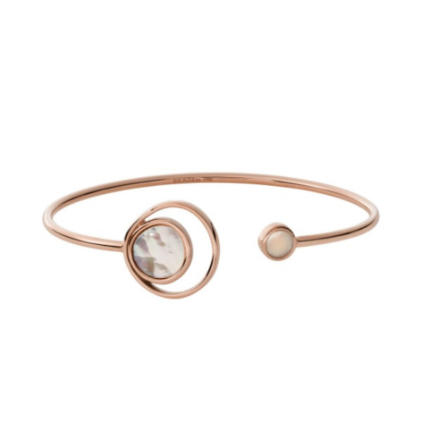 Skagen SKJ1498791