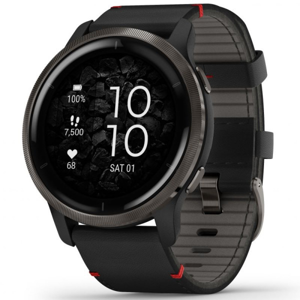 GARMIN VENU® 2 SLATE/BLACK 45MM 010-02430-21