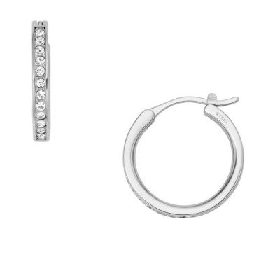 Fossil JOF00337040