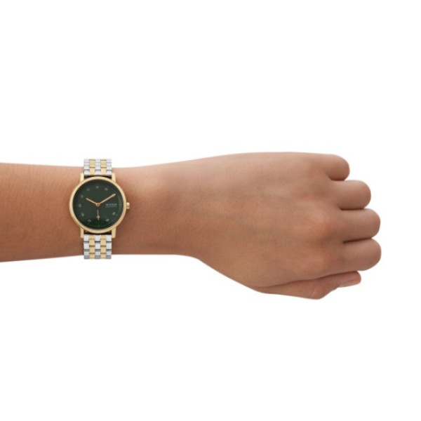 Skagen SKW3122