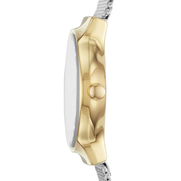 Skagen SKW2666