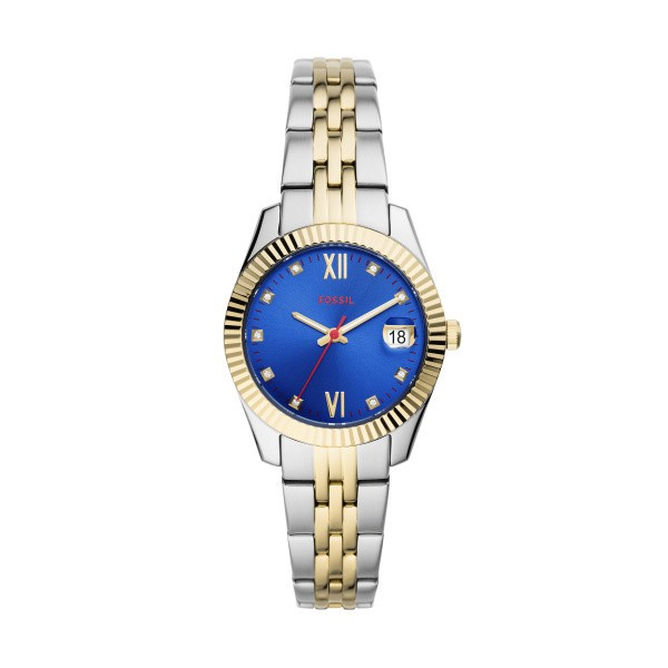 Fossil ES4899