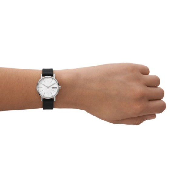 Skagen SKW3120