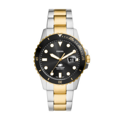 Fossil FS6031