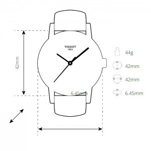 TISSOT EVERYTIME 42 MM MEN'S WATCH T109.610.36.031.00