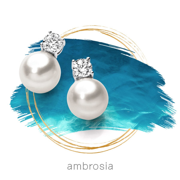 Comete Ambrosia златни обеци AOP075