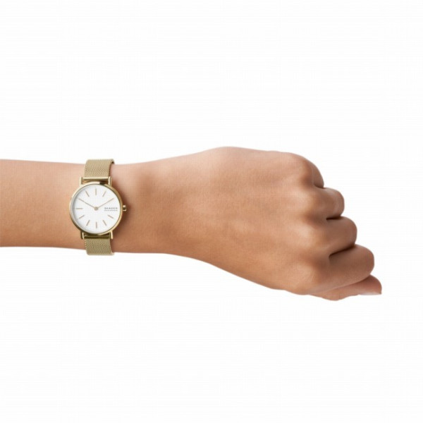 Skagen SKW2693