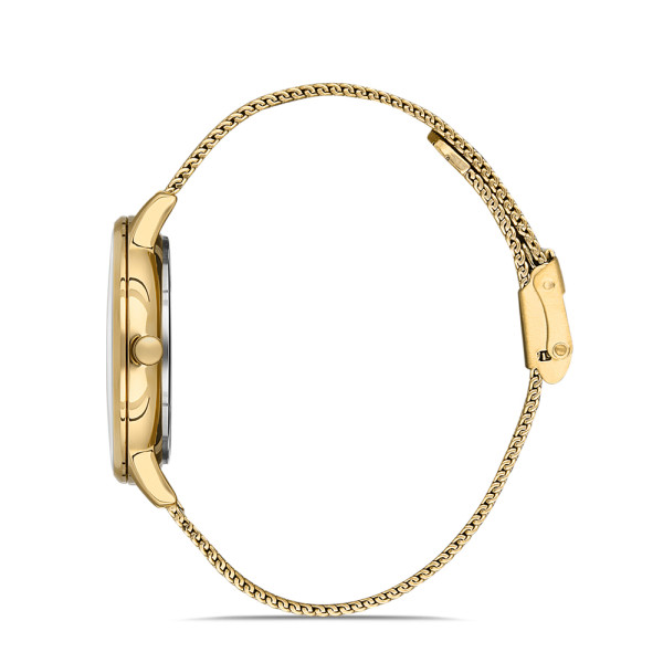 DANIEL KLEIN PREMIUM 32MM LADIES WATCH DK.1.13050-3