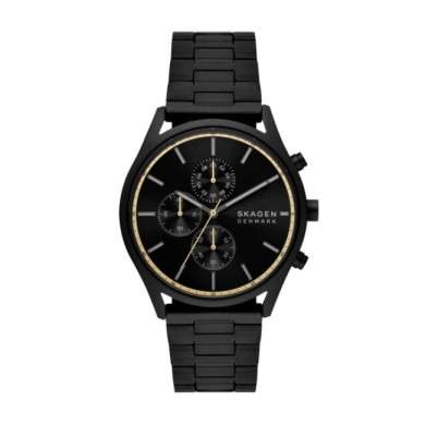 Skagen SKW6910