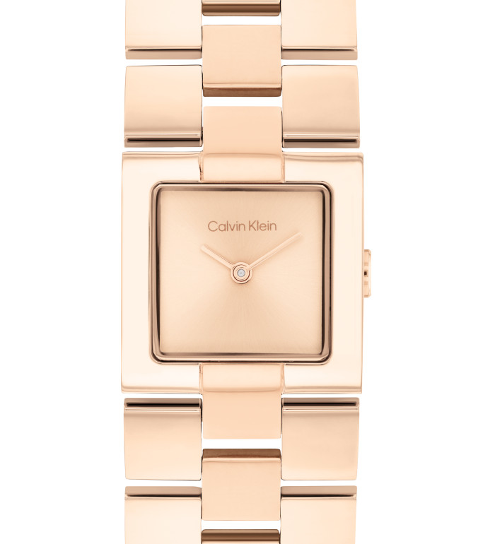 CALVIN KLEIN MERIDIAN 22MM 25100090