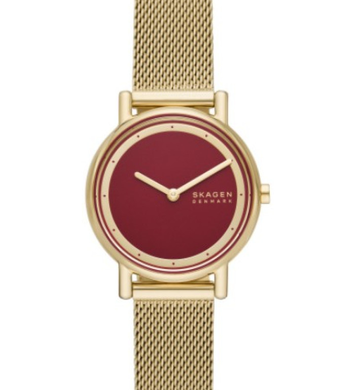 Skagen SKW3117