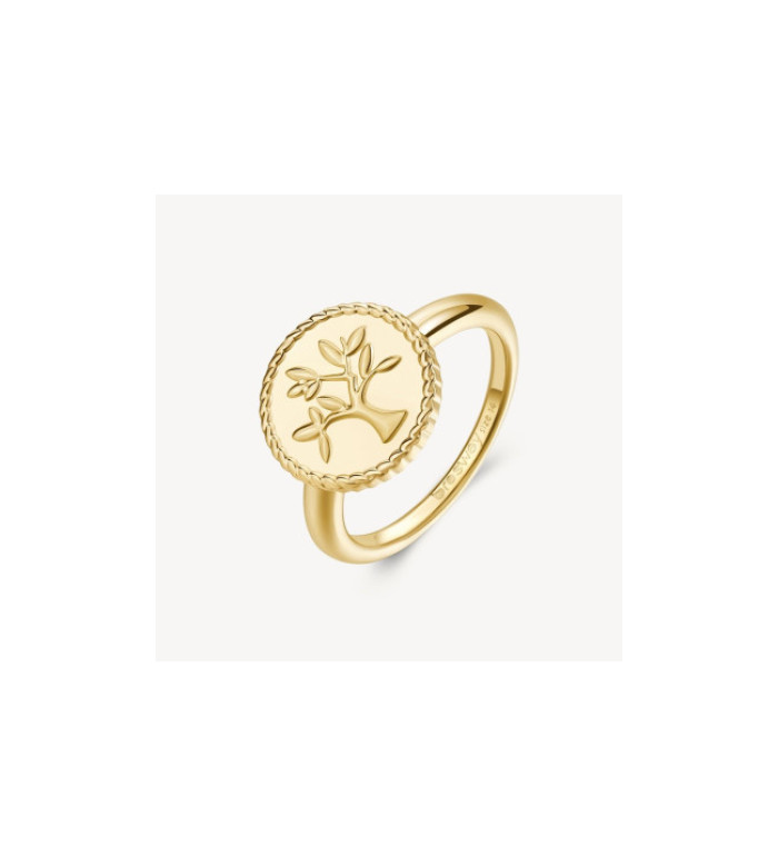 Пръстен Brosway Chakra Mystic BHKR002C