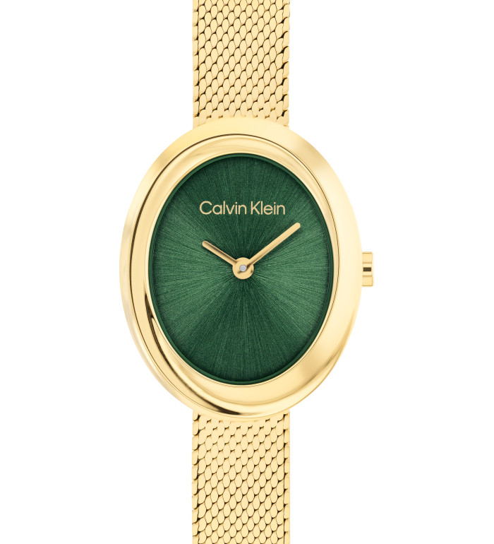 CALVIN KLEIN TWISTED BEZEL 24MM 25100152