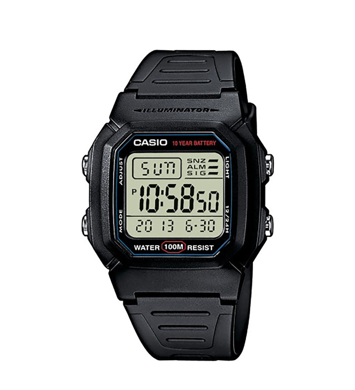 ЧАСОВНИК CASIO W-800H-1AVES