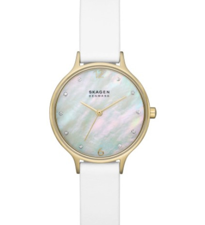 Skagen SKW3138