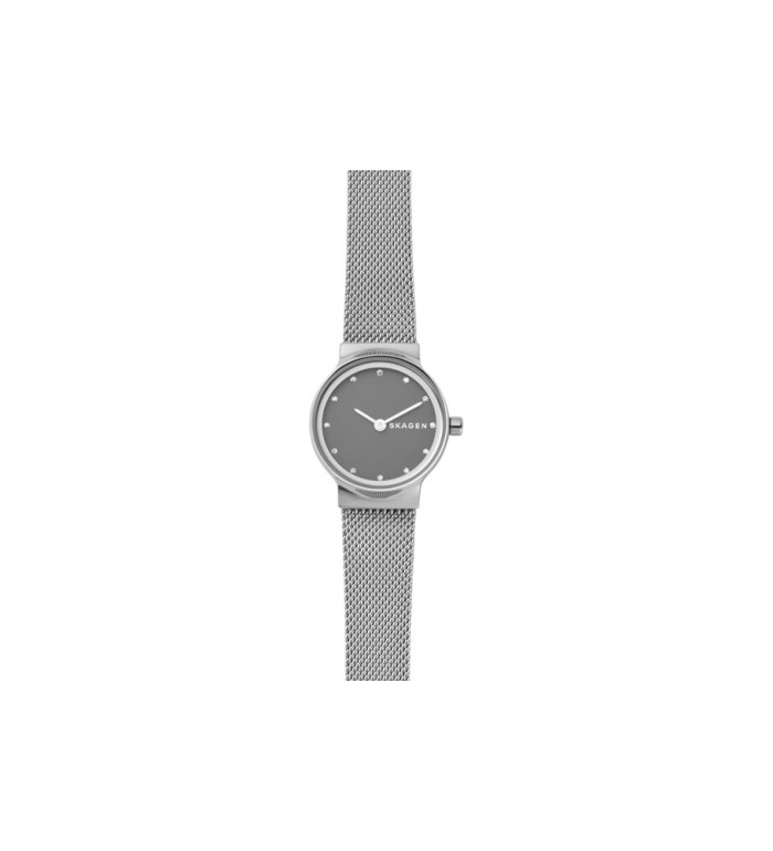 Skagen SKW2667