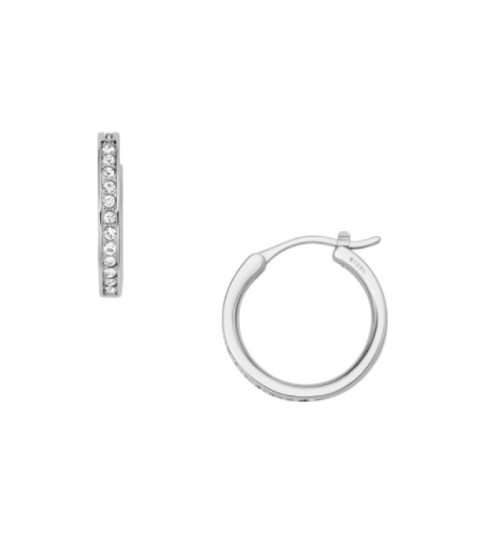 Fossil JOF00337040