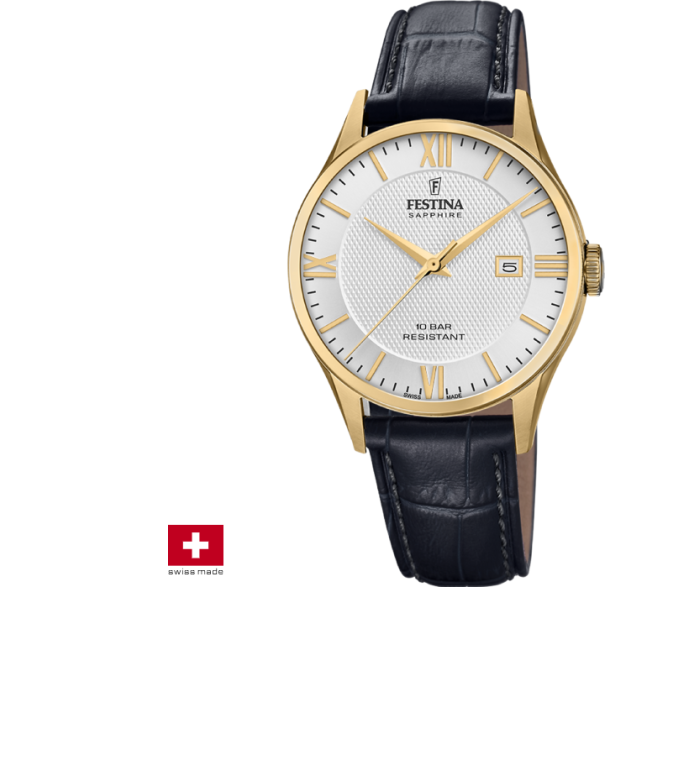 Festina Swiss Made F20010/2
