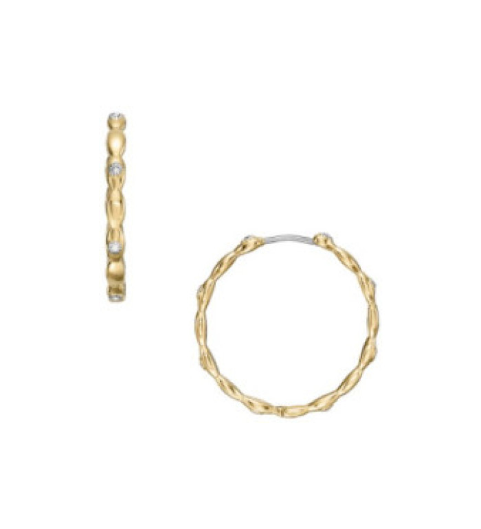 Fossil JF04816710