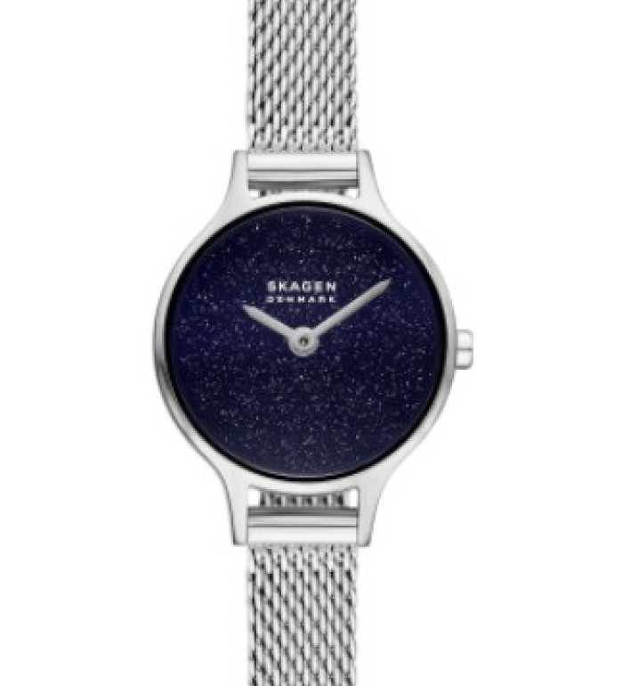 Skagen SKW3172