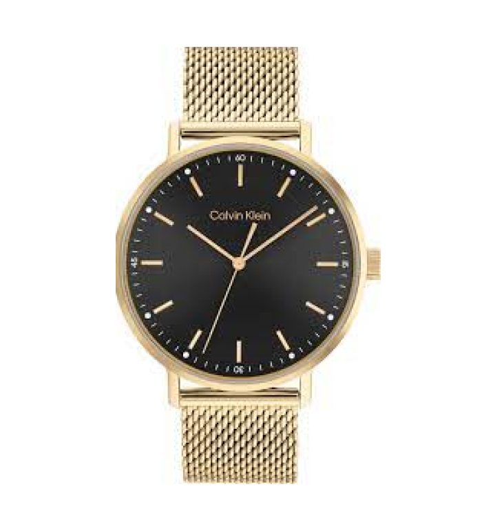 CALVIN KLEIN TIMELESS 42MM LADIES WATCH 25200049