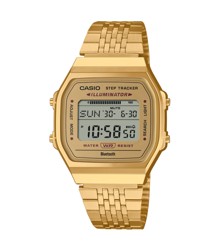 CASIO COLLECTION ABL-100WEG-9AEF